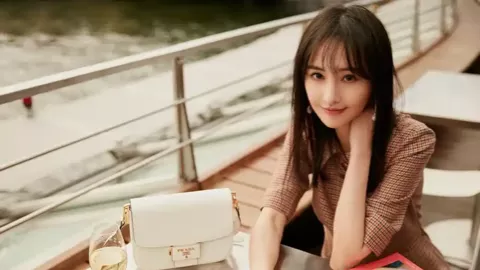 龚琳娜离婚原因曝光