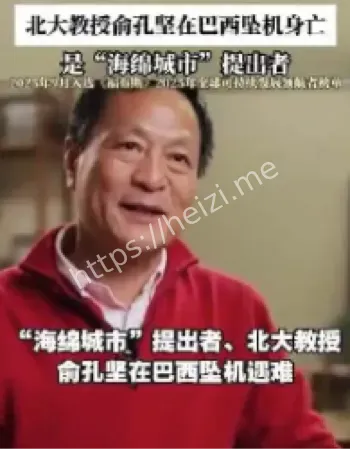 俞孔坚巴西坠机事故